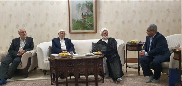 دیدار عارف با کروبی