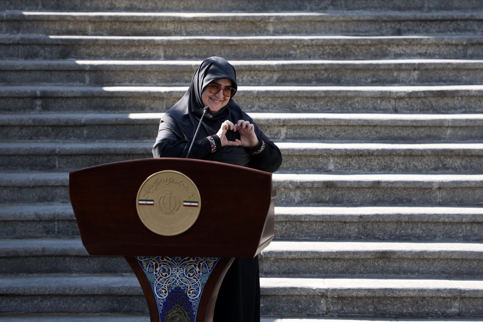 خانم سخنگو! میشه پسر و عروس تون برای من هم فیلترشکن نصب کنن؟/کاریکاتور