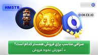 صرافی مناسب برای فروش همستر کدام است؟ + آموزش نحوه فروش