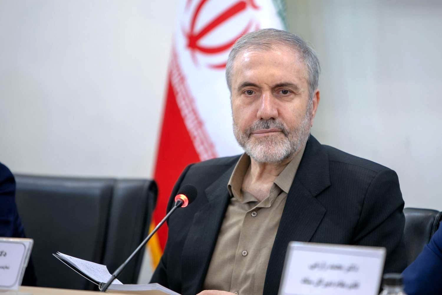 ذوالفقاری: پیشنهاد واردات یا کشت کنترلشده خشخاش بررسی خواهد شد