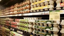 یخچال فروشگاهی مناسب برای فروشگاه‌های لبنیاتی