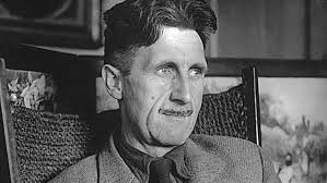 این نوابغ ادبی دیده نشدند