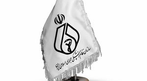 بیانیه مهم شورای عالی نظام پزشکی درباره حوادث دی ماه