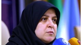 مهاجرانی: دولت مخالف مصوبه مهریه بود