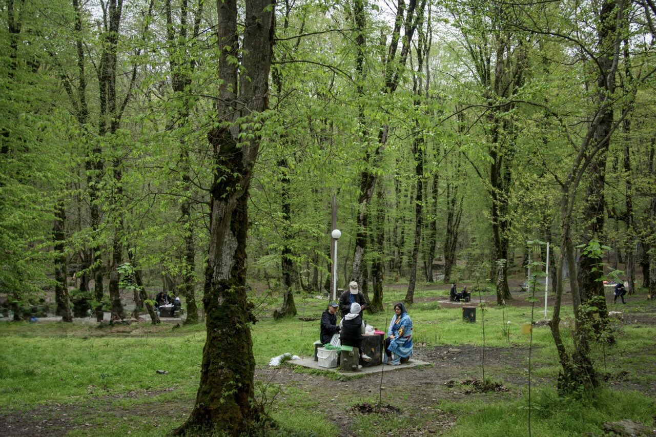 مسدود شدن مسیرهای منتهی به جنگل‌های نوشهر