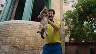 در سینمای طنز ما کار فاخری وجود ندارد