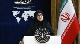 سخنگوی دولت برای پیگیری مسئله جابه‌جایی اموال هنرهای ملی قول داد