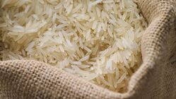 رفع محدودیت واردات برنج