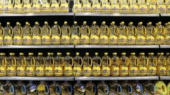 نرخ ارز روغن چقدر شده است؟