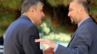 امیرعبداللهیان و اسلامی این هفته میهمان کمیسیون امنیت ملی  خواهند بود