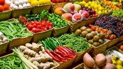 افزایش عرضه میوه در طول درگیری اخیر
