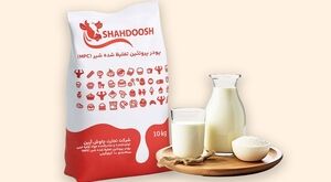 پودر کنسانتره پروتئین شیر (MPC) چیست؟ کاربردها و نکات مهم در خرید
