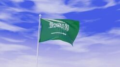 وال استریت: عربستان از حملات مخفیانه امارات به اهداف ایرانی شکایت دارد