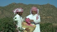 پرونده عربستان در یونسکو ارتباطی با گل محمدی ایران ندارد