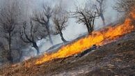 یک‌ونیم هکتار جنگل در دل گیلان سوخت / دستور استاندار برای اعزام بالگرد آب‌پاش به نقاط‌صعب العبور