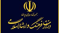 مهدی شفیعی معاون هنری ارشاد شد