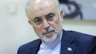 صالحی: تهدید هسته‌ای رژیم صهیونیستی، منفعل بودن سازمان‌های بین‌المللی را نشان می‌دهد